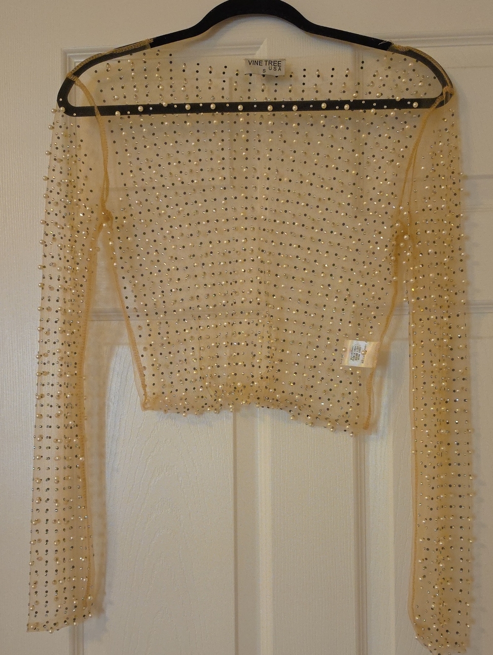 Sheer Rhinestone Pearl Long-Sleeve Crop Top - Nude